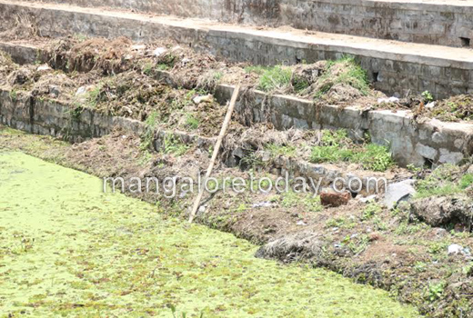 MLA JR Lobo inspects Gujjarakere lake 1